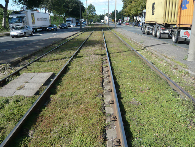 Grüngleisnetzwerk - Niedersächsische Rasenkulturen NIRA GmbH & Co. KG
