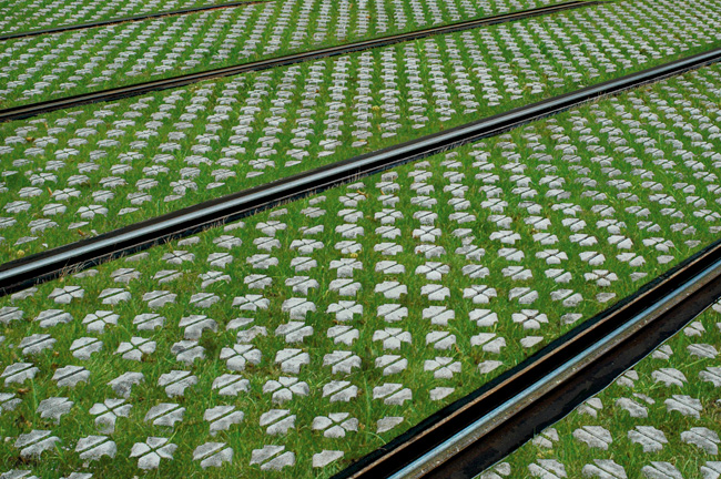 RHEDA CITY GRUEN Karlsruhe 2